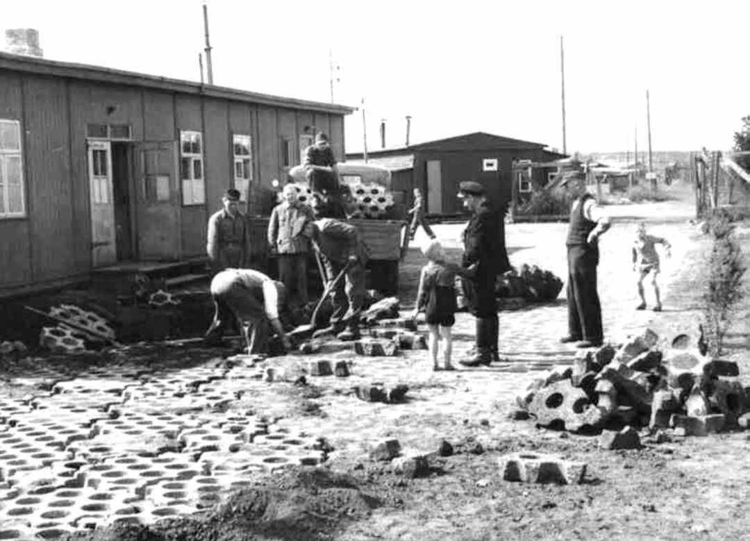 Dines Bogø