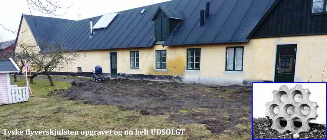Dines Bogø