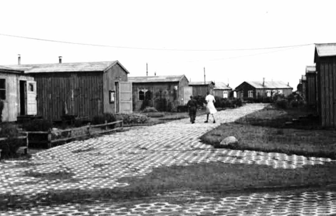 Dines Bogø
